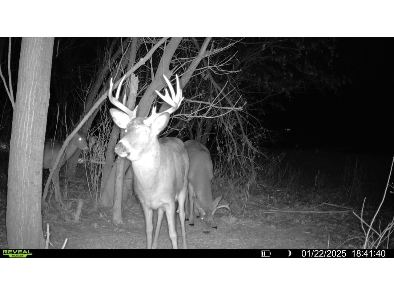W5778 Koss Onalaska WI 54650 1962549 image56