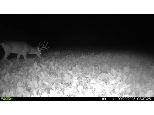 W5778 Koss Onalaska WI 54650 1962549 image57