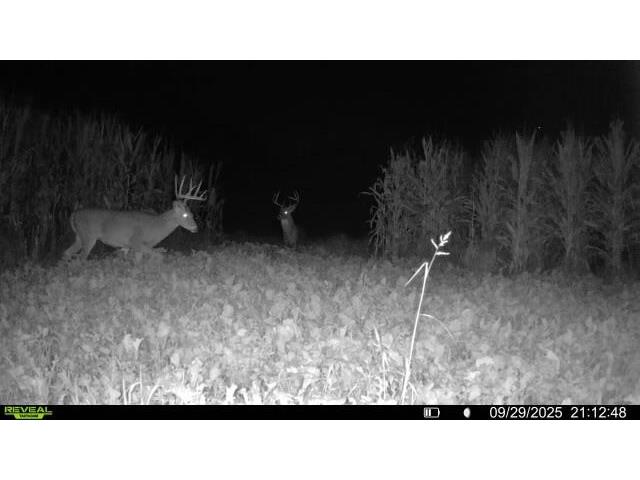 W5778 Koss Onalaska WI 54650 1962549 image58
