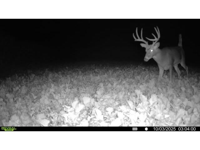 W5778 Koss Onalaska WI 54650 1962549 image59