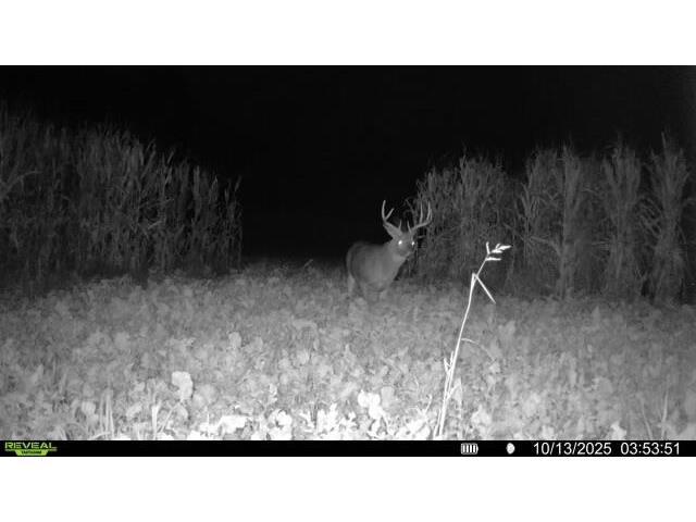 W5778 Koss Onalaska WI 54650 1962549 image60