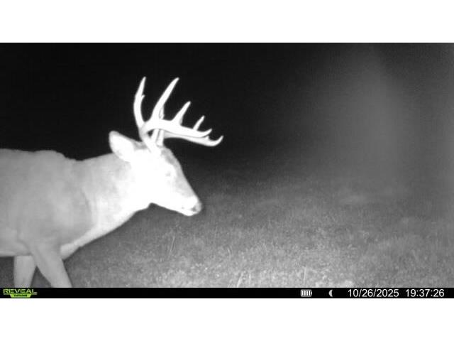 W5778 Koss Onalaska WI 54650 1962549 image61