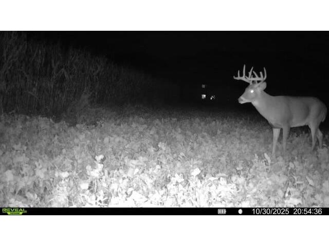W5778 Koss Onalaska WI 54650 1962549 image62