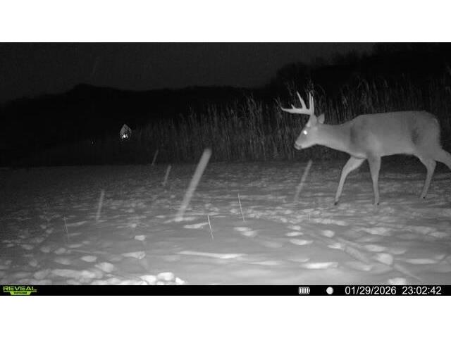W5778 Koss Onalaska WI 54650 1962549 image63