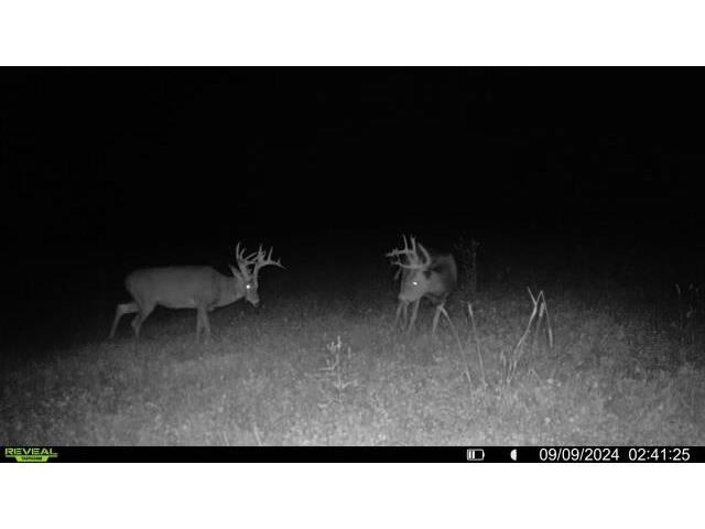 W5778 Koss Onalaska WI 54650 1962549 image64