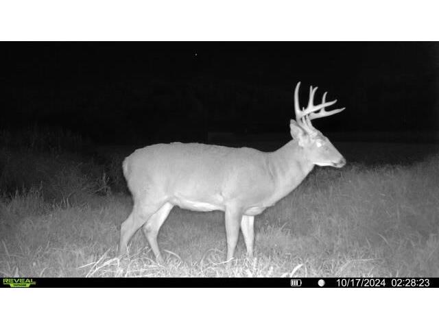 W5778 Koss Onalaska WI 54650 1962549 image65