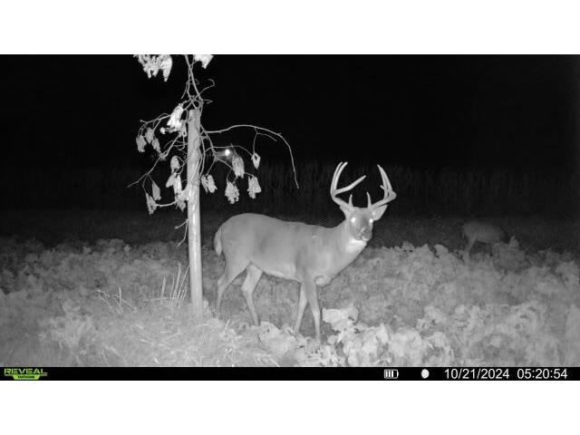 W5778 Koss Onalaska WI 54650 1962549 image66