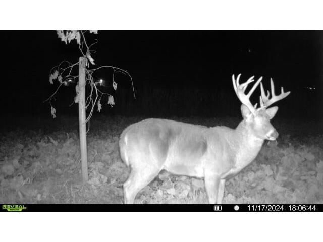 W5778 Koss Onalaska WI 54650 1962549 image67