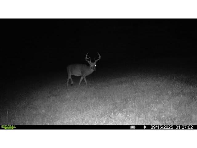 W5778 Koss Onalaska WI 54650 1962549 image68