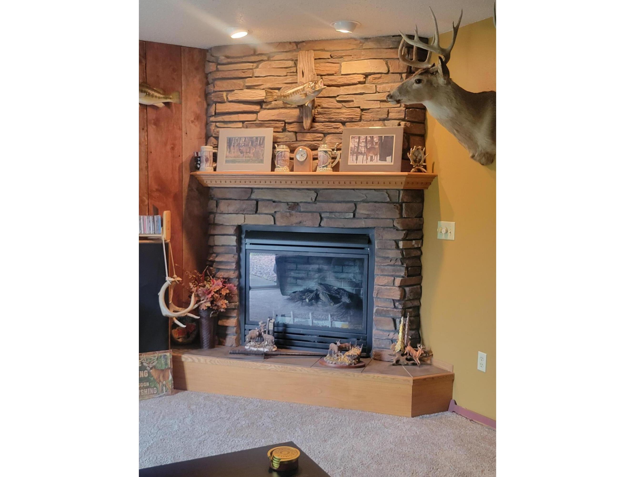 W7844 Windmill Holland WI 54636 1938569 image18