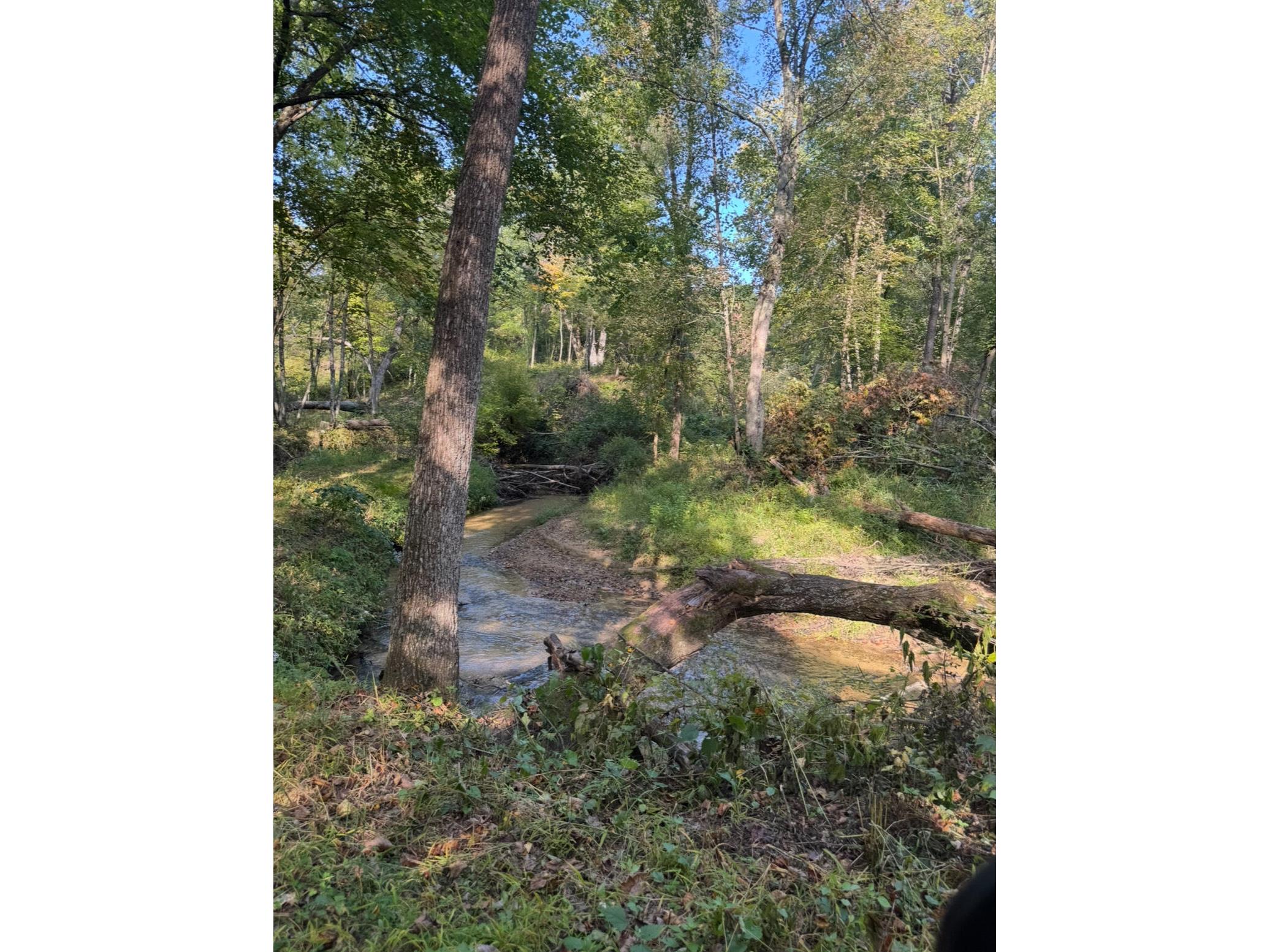 W902 County Road A Burns WI 54644 1939488 image46