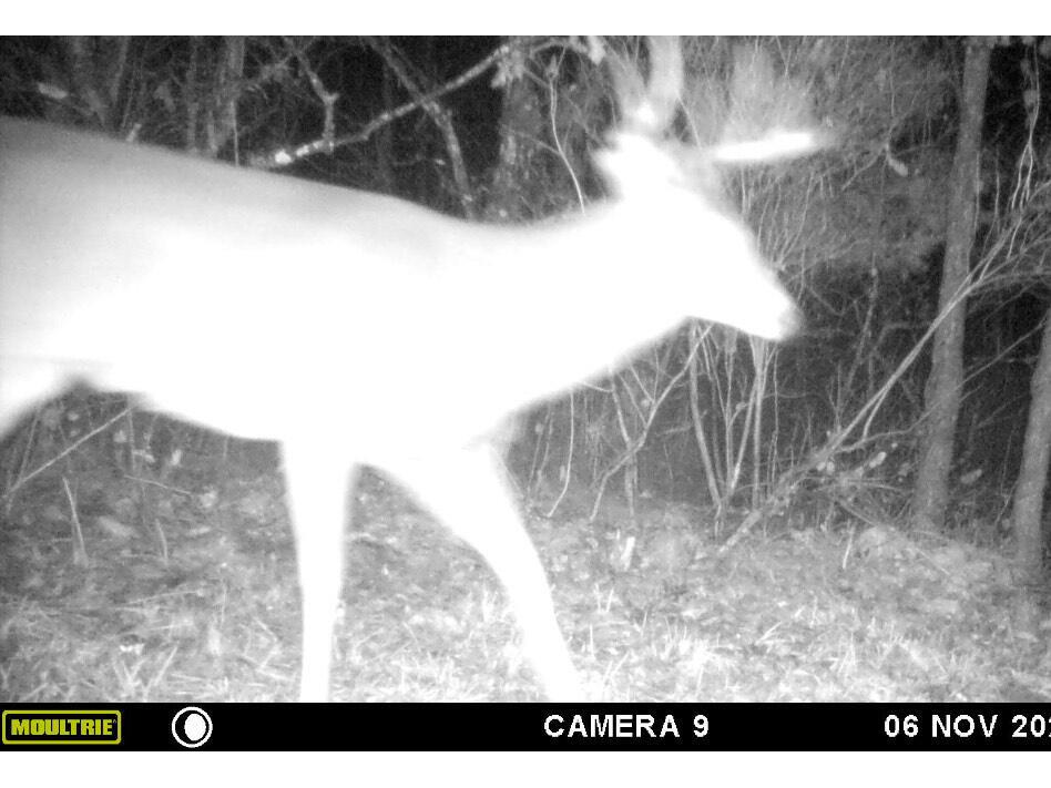 W902 County Road A Burns WI 54644 1939488 image48