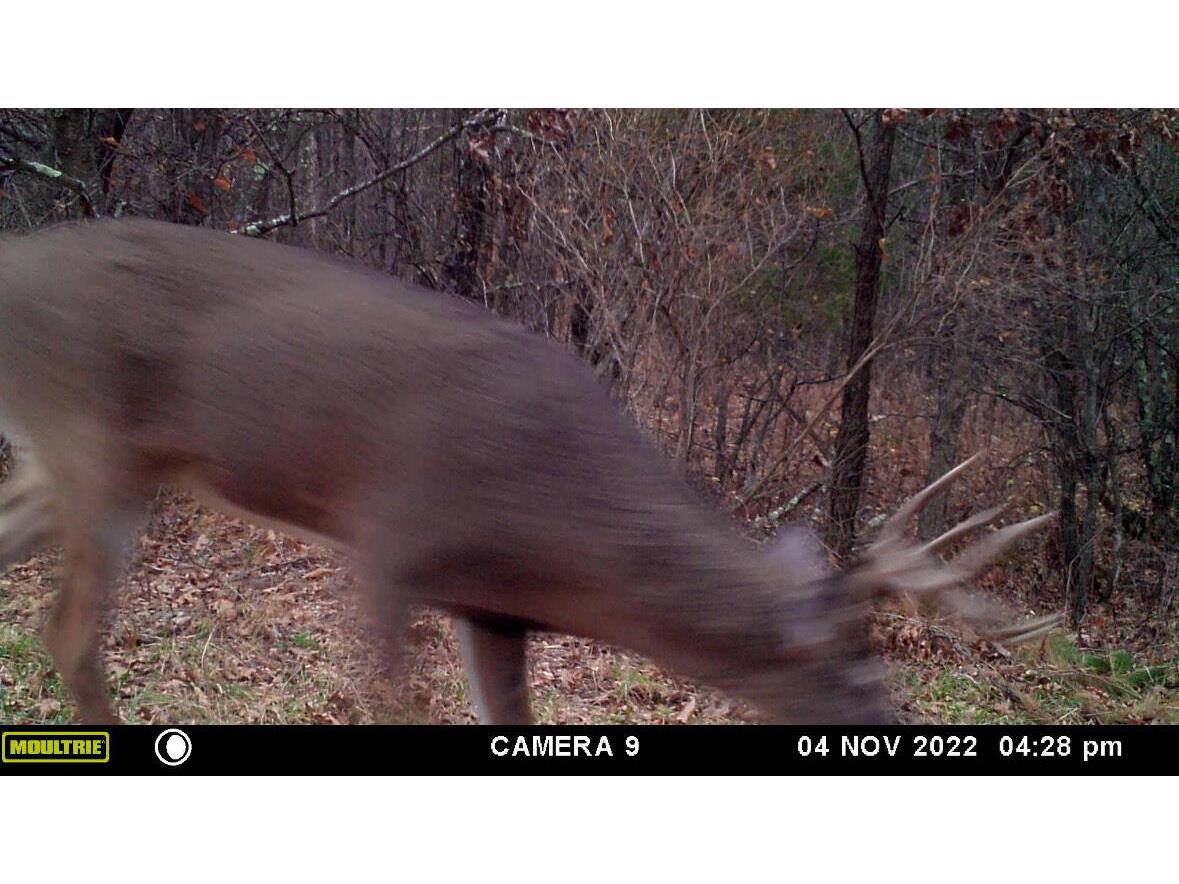 W902 County Road A Burns WI 54644 1939488 image49