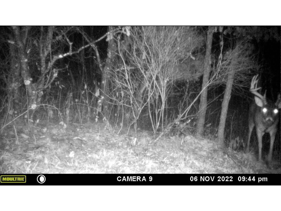 W902 County Road A Burns WI 54644 1939488 image50