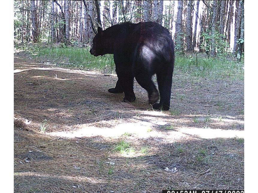 W902 County Road A Burns WI 54644 1939488 image52