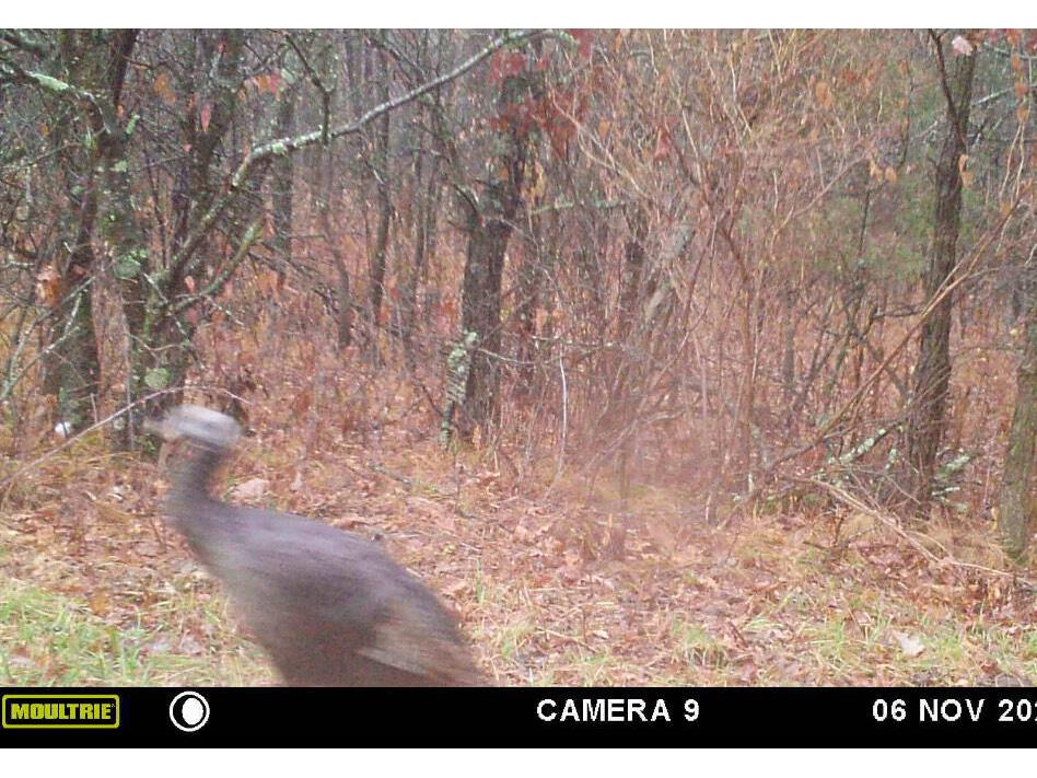 W902 County Road A Burns WI 54644 1939488 image53