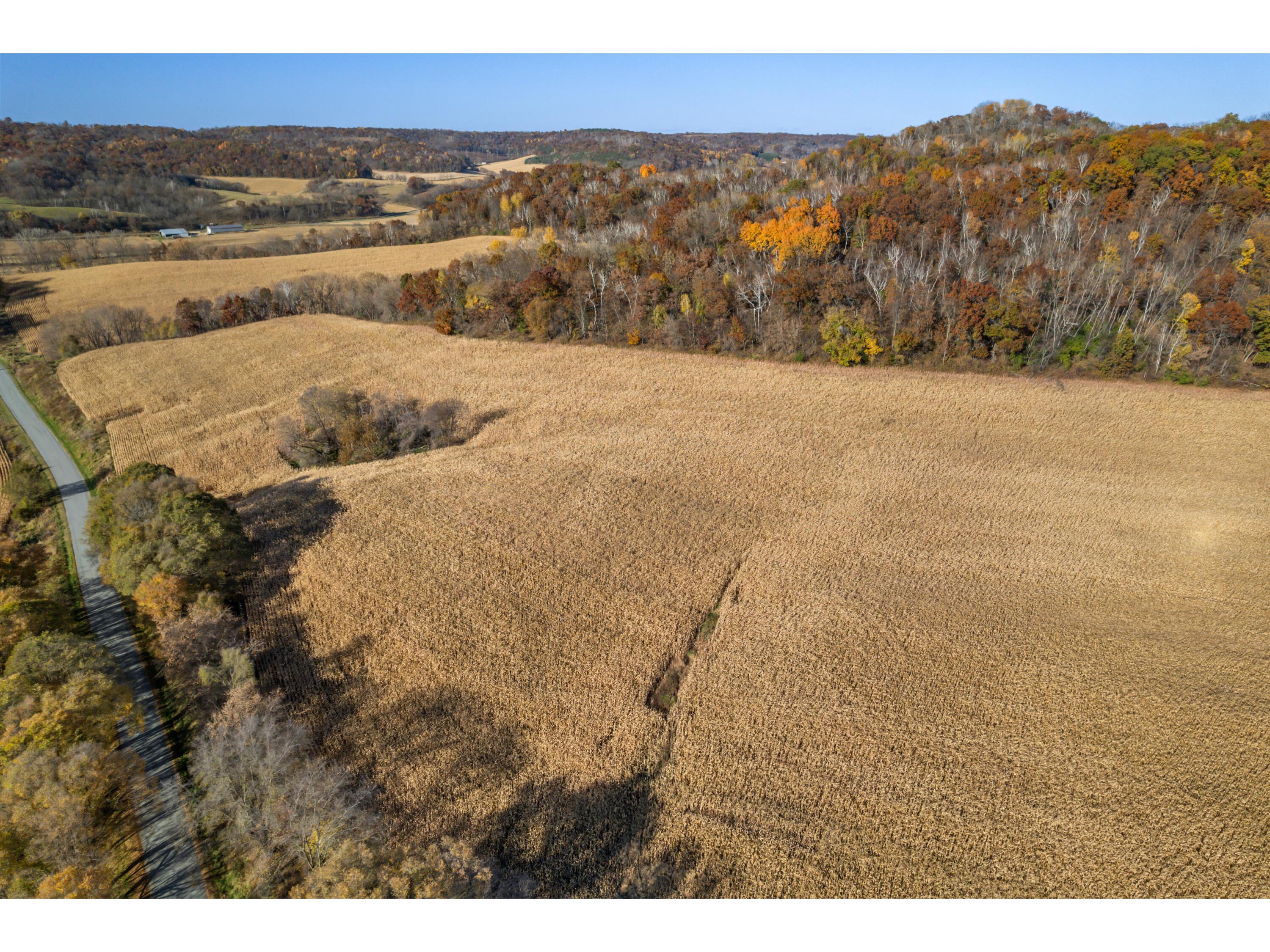 XX Linden Arcadia WI 54612 1897416 image1