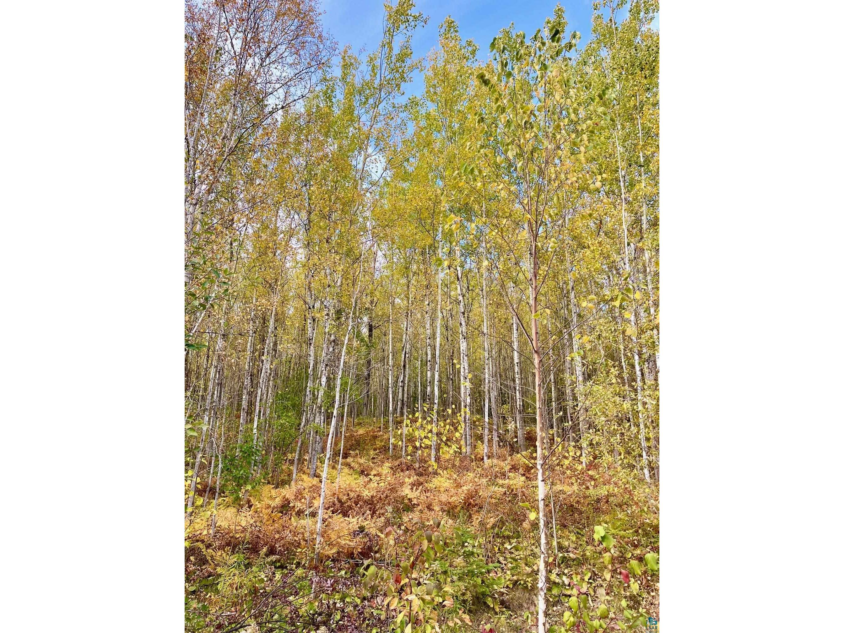 #11 Mountain Trail Grand Marais MN 55604 6116523 image1