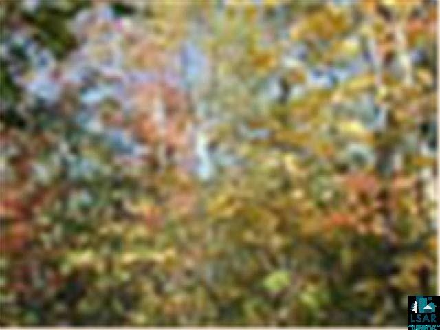  Ely MN 55731 2312051 image2