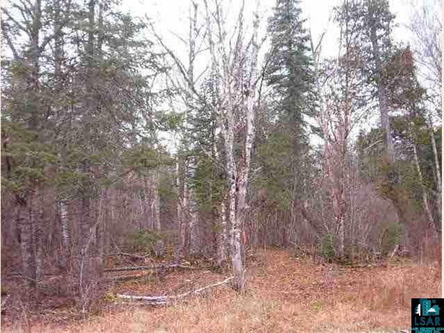  Hovland MN 55606 2311762 image2