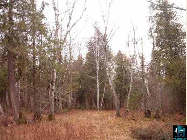  Hovland MN 55606 2311763 image2