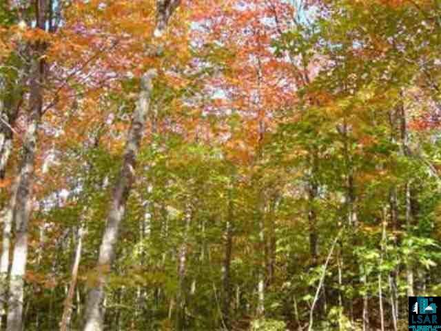  Schroeder MN 55613 2311927 image2