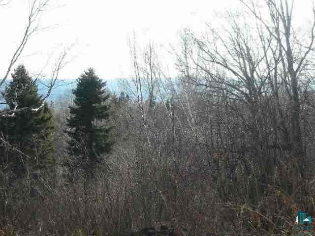  Tofte MN 55615 2311598 image2