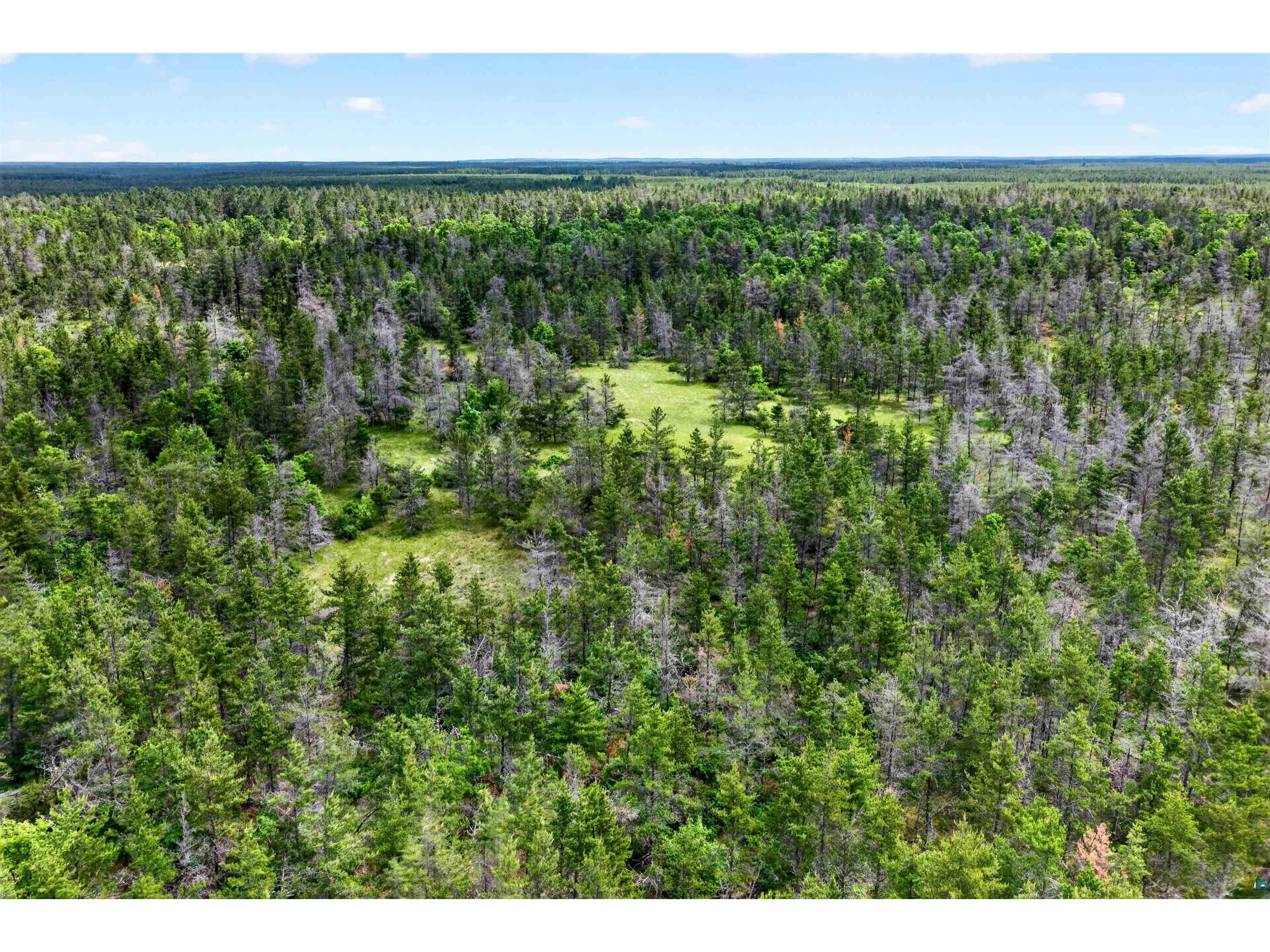 0 County Hwy Y Gordon WI 54838 6126096 image19