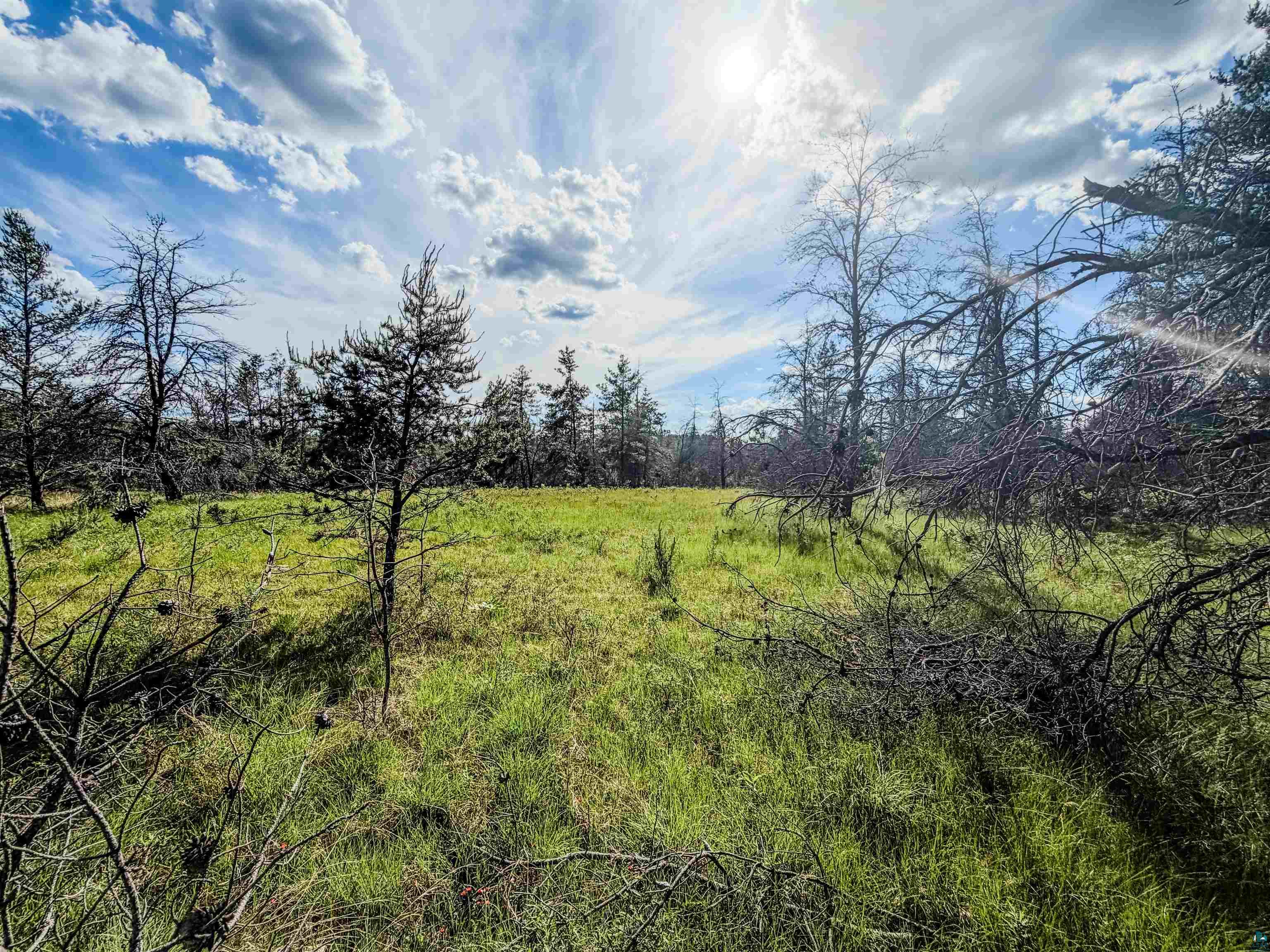 0 County Hwy Y Gordon WI 54838 6126096 image21