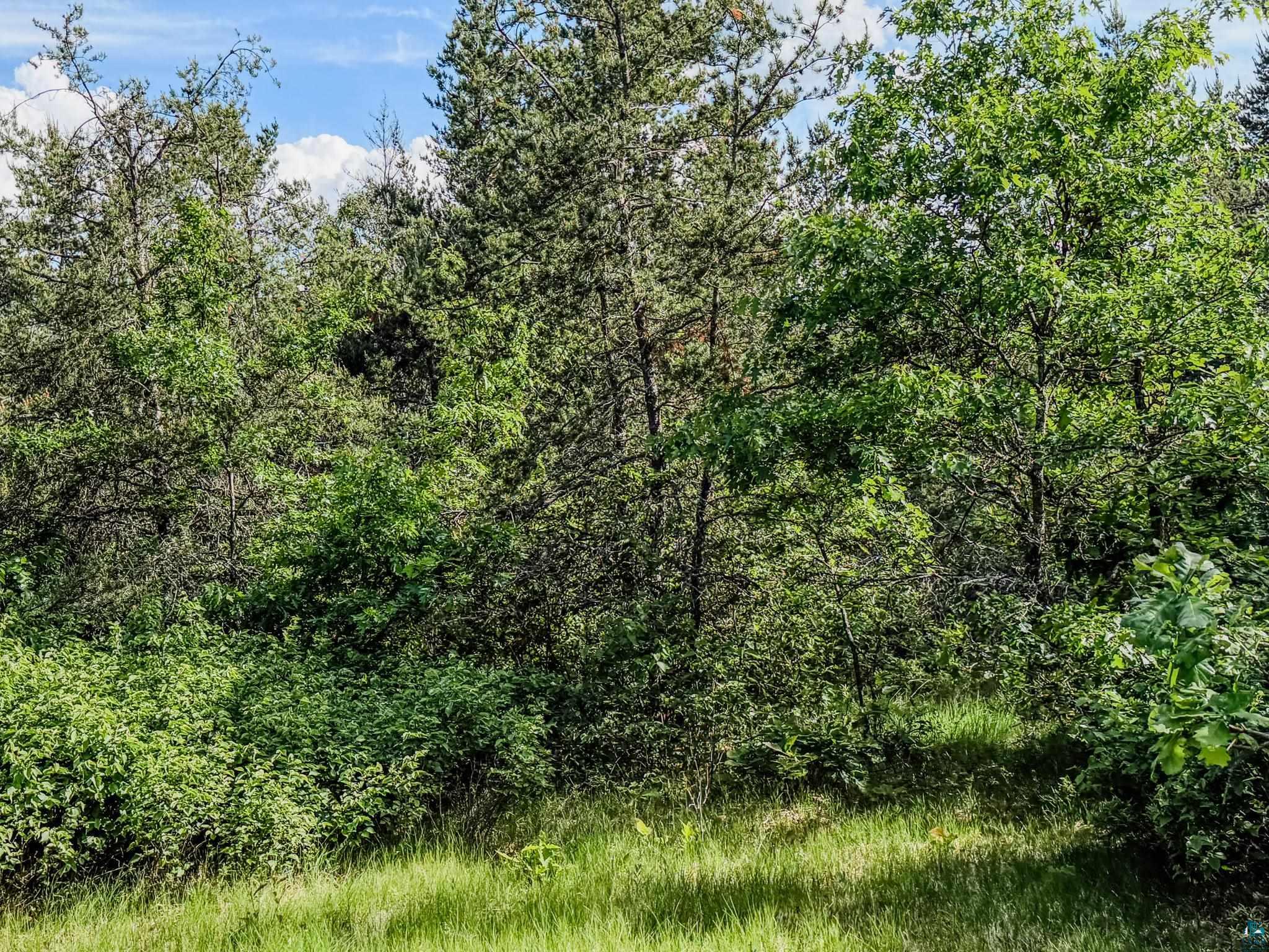 0 County Hwy Y Gordon WI 54838 6126096 image4