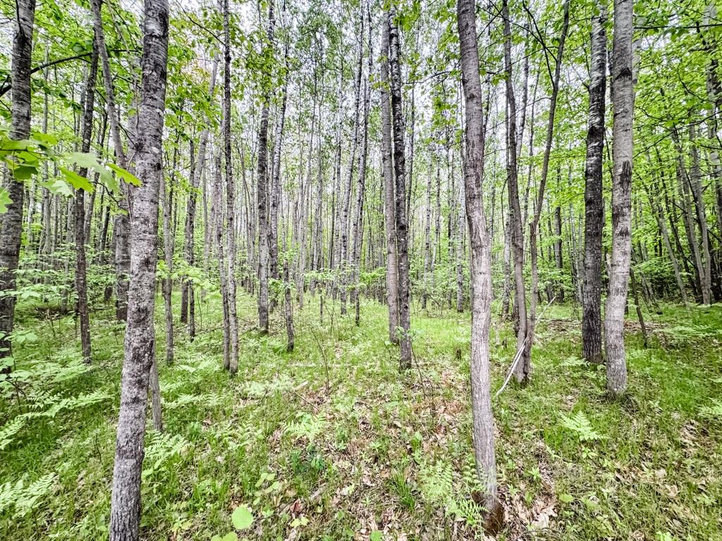 0 Kelly Rd Lake Nebagamon WI 54849 6119685 image1