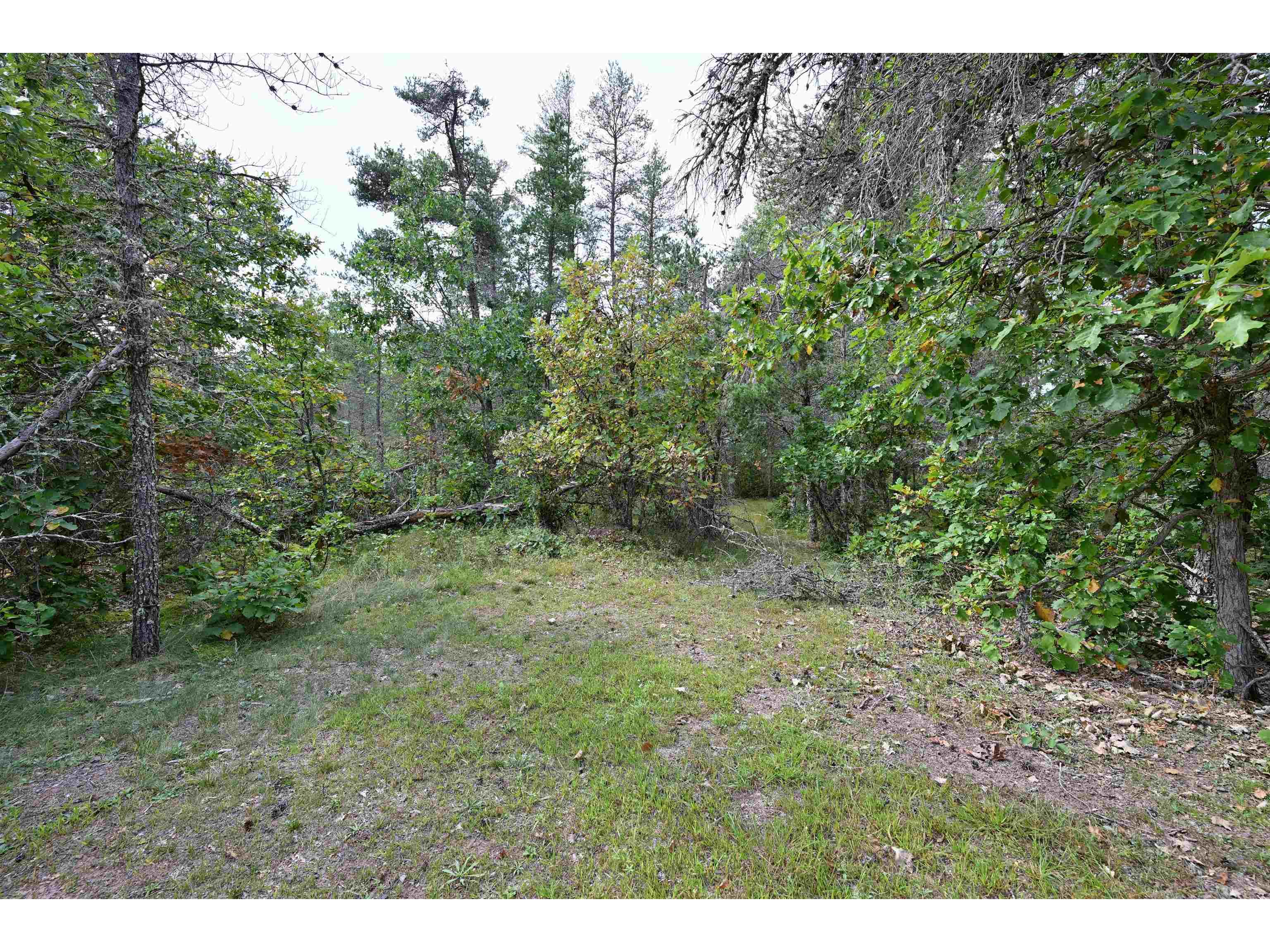 0 Pine Cone Dr Gordon WI 54838 6122078 image1