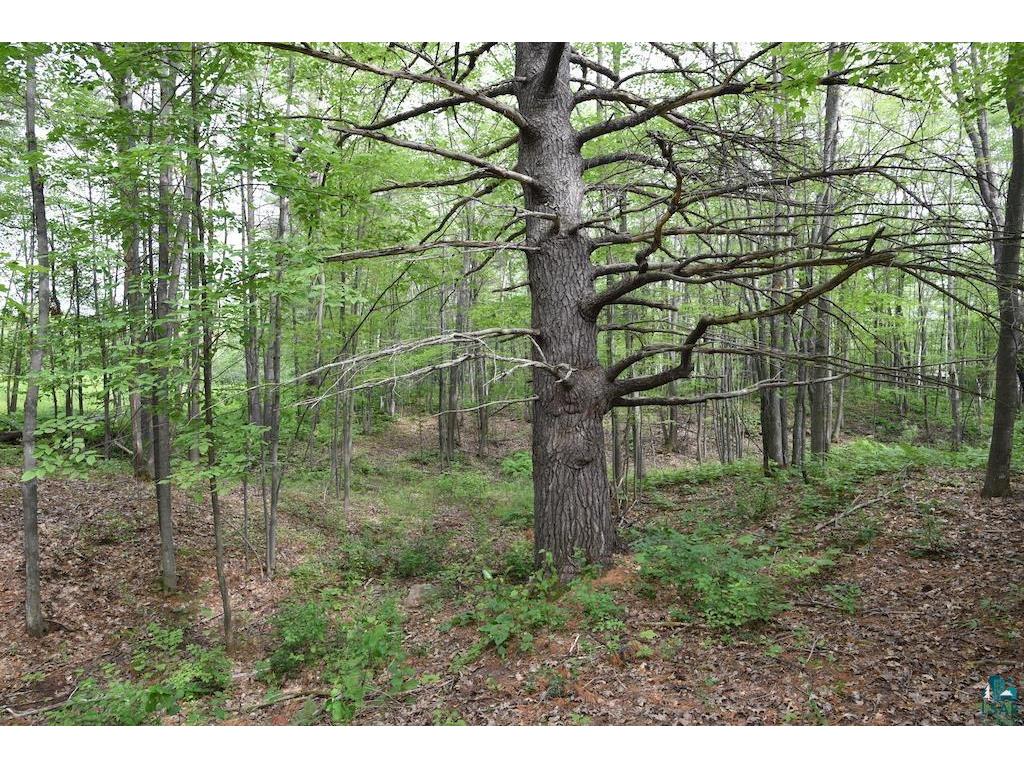 000 10th Ave W Washburn WI 54891 6109769 image1