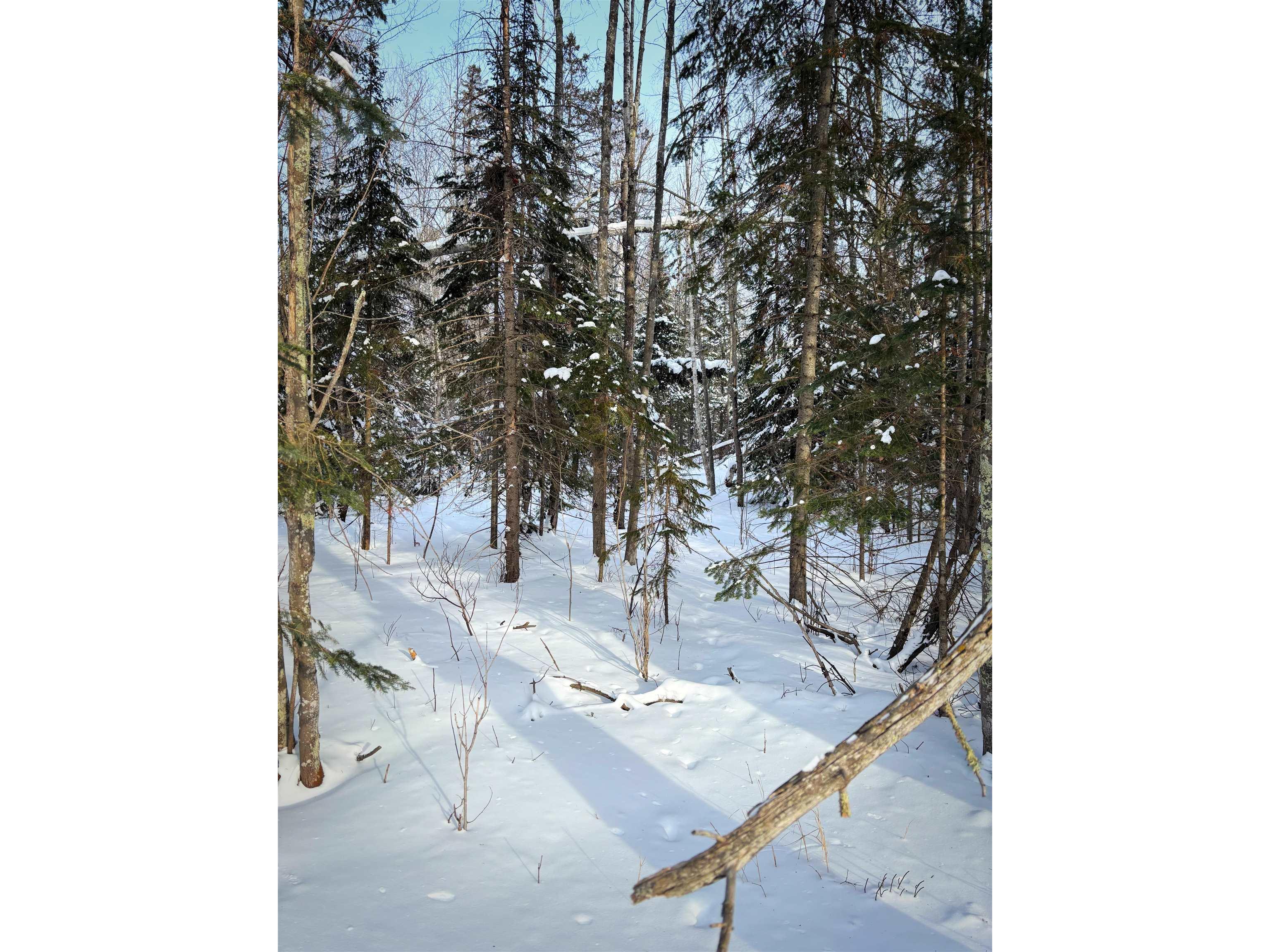 000 Airport Rd Port Wing WI 54865 6123404 image2