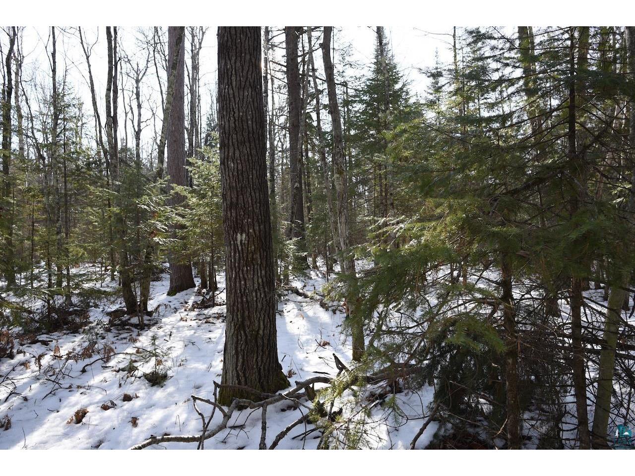 000 Big Rock Rd Washburn WI 54891 6112102 image1