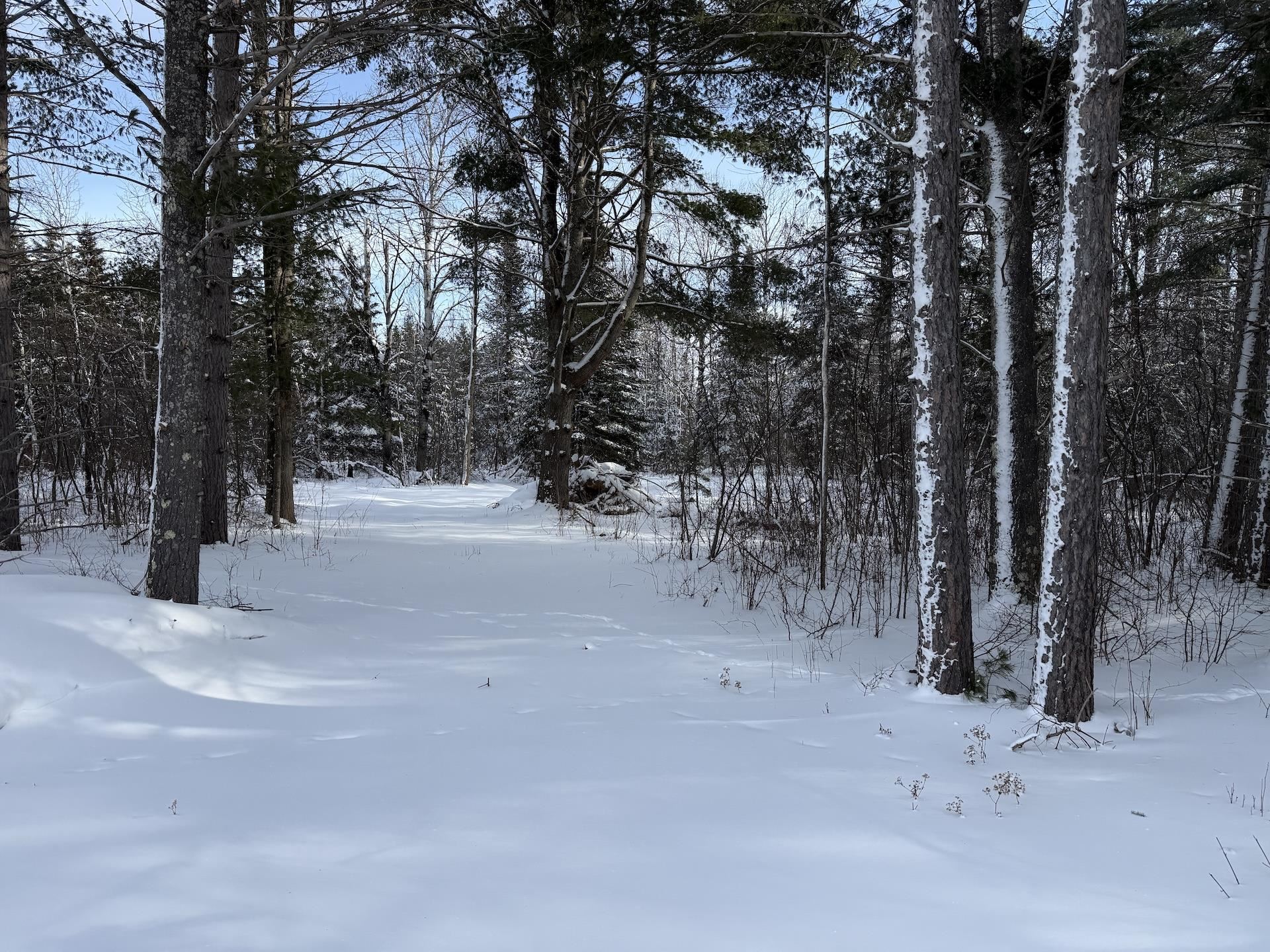 000 Big Rock Rd Washburn WI 54891 6123436 image1