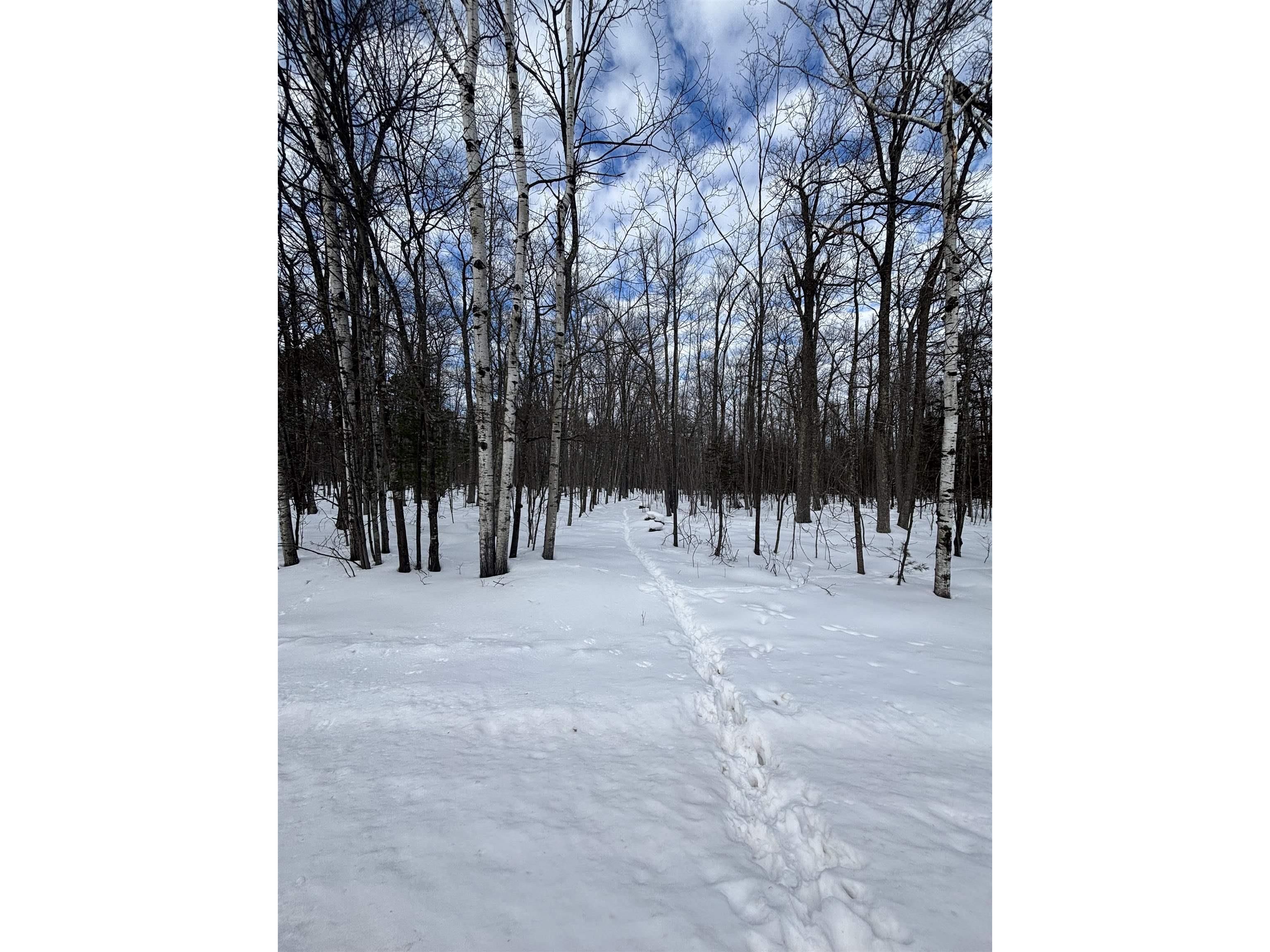 000 Cherryville Rd Ashland WI 54806 6123644 image3