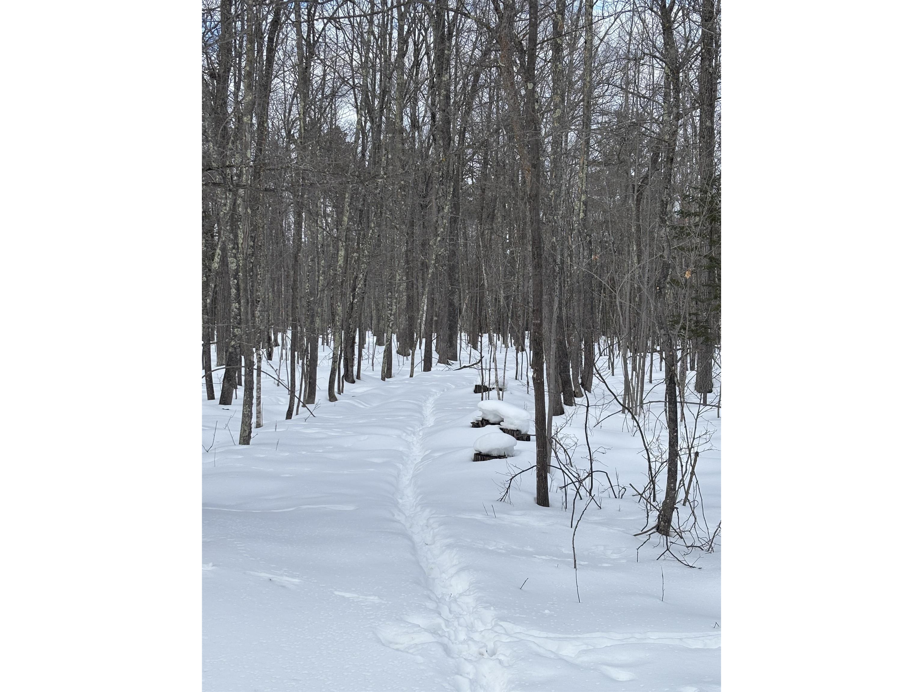000 Cherryville Rd Ashland WI 54806 6123644 image4