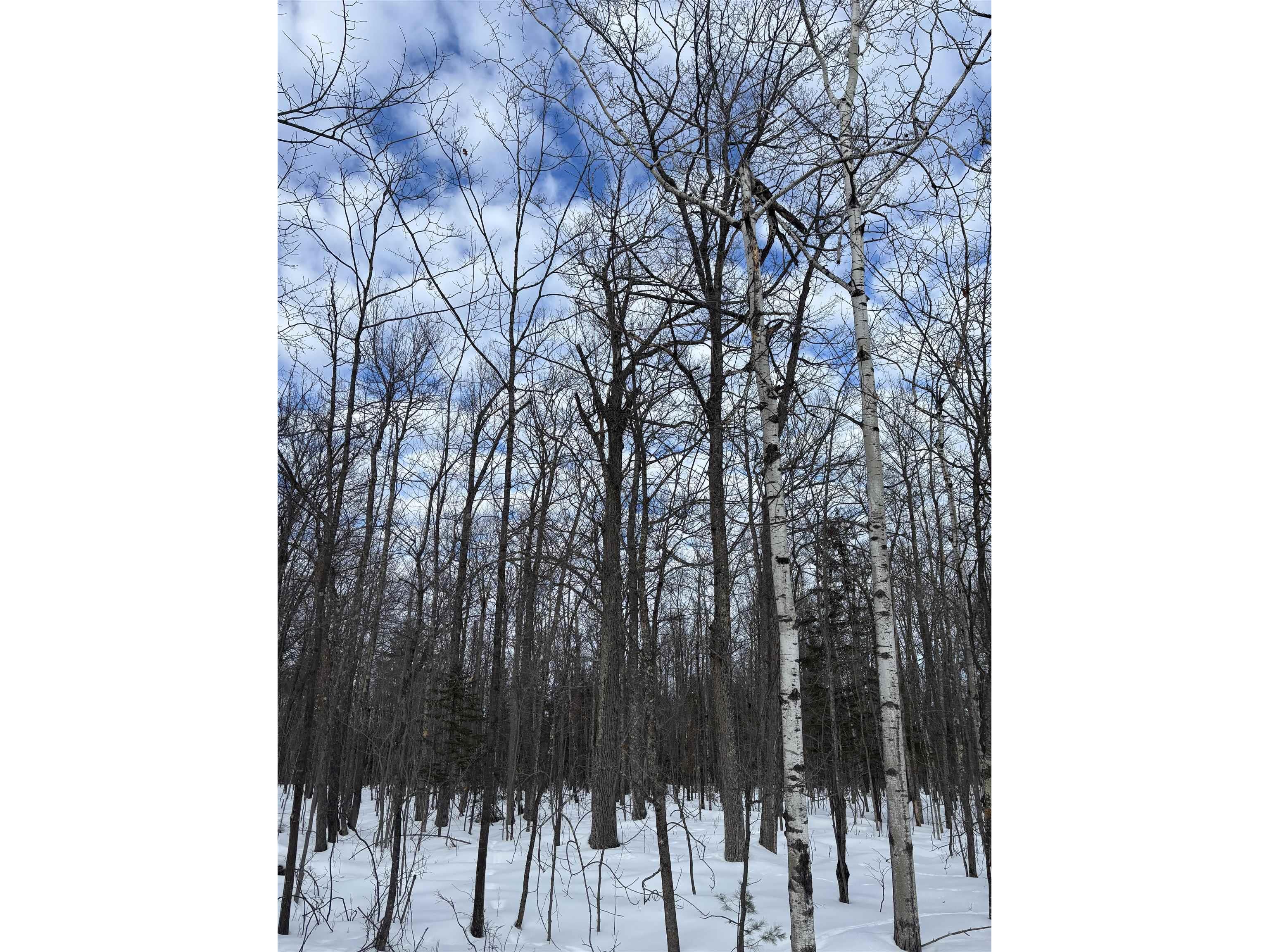 000 Cherryville Rd Ashland WI 54806 6123644 image6