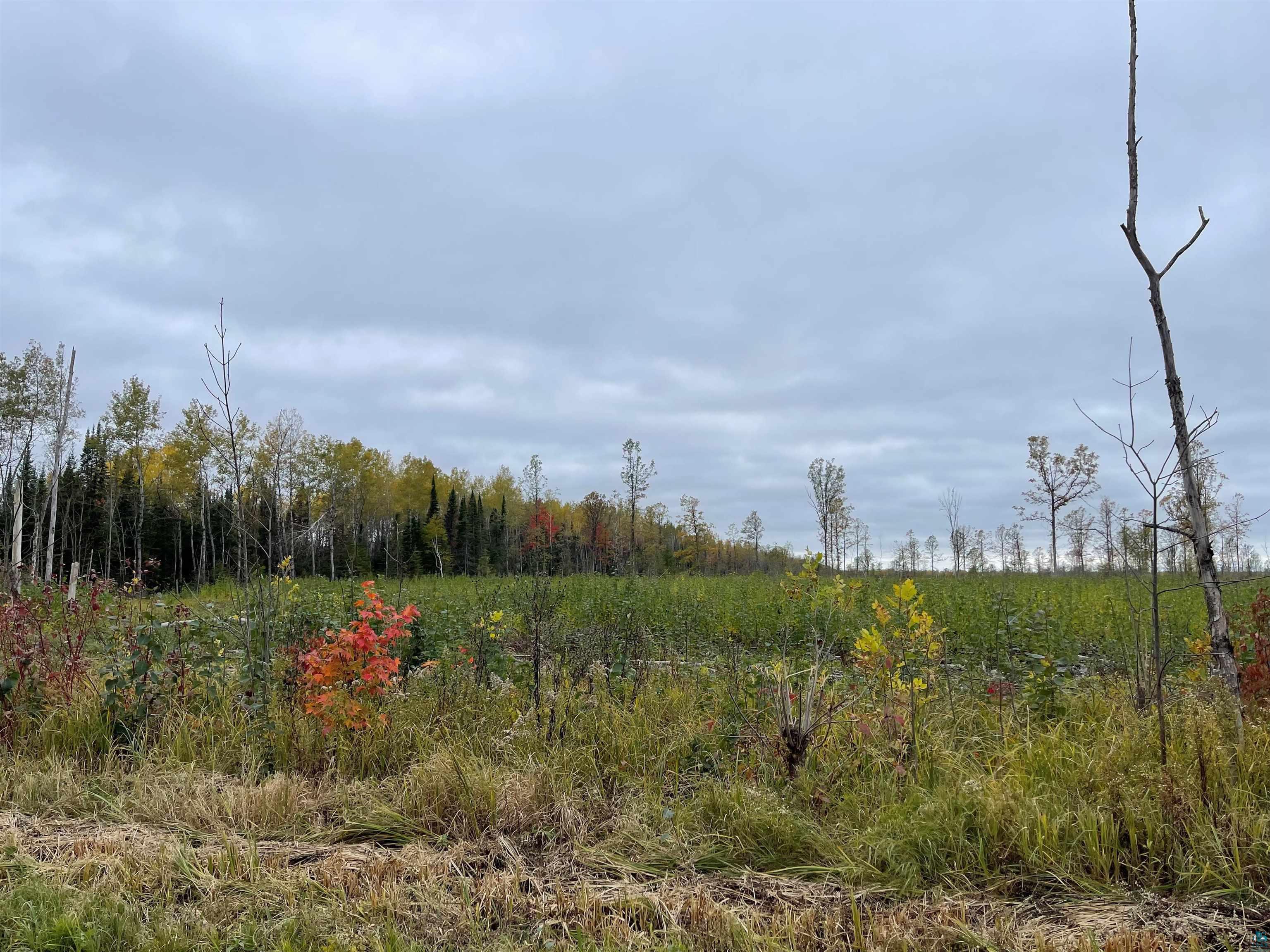 000 Clevedon Rd, Brule, WI, 54820 MLS 6111094 Edina Realty