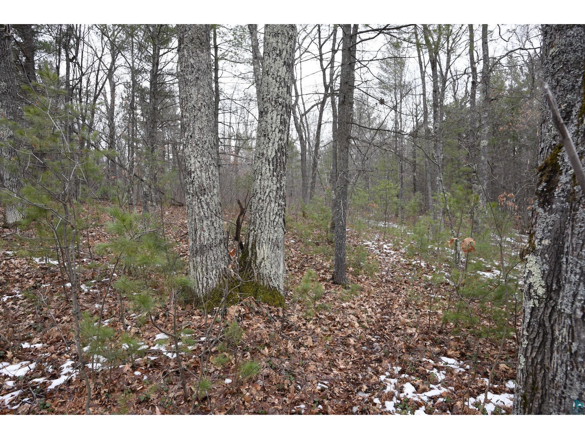 000 Hart Lake Rd Iron River WI 54847 6112214 image1