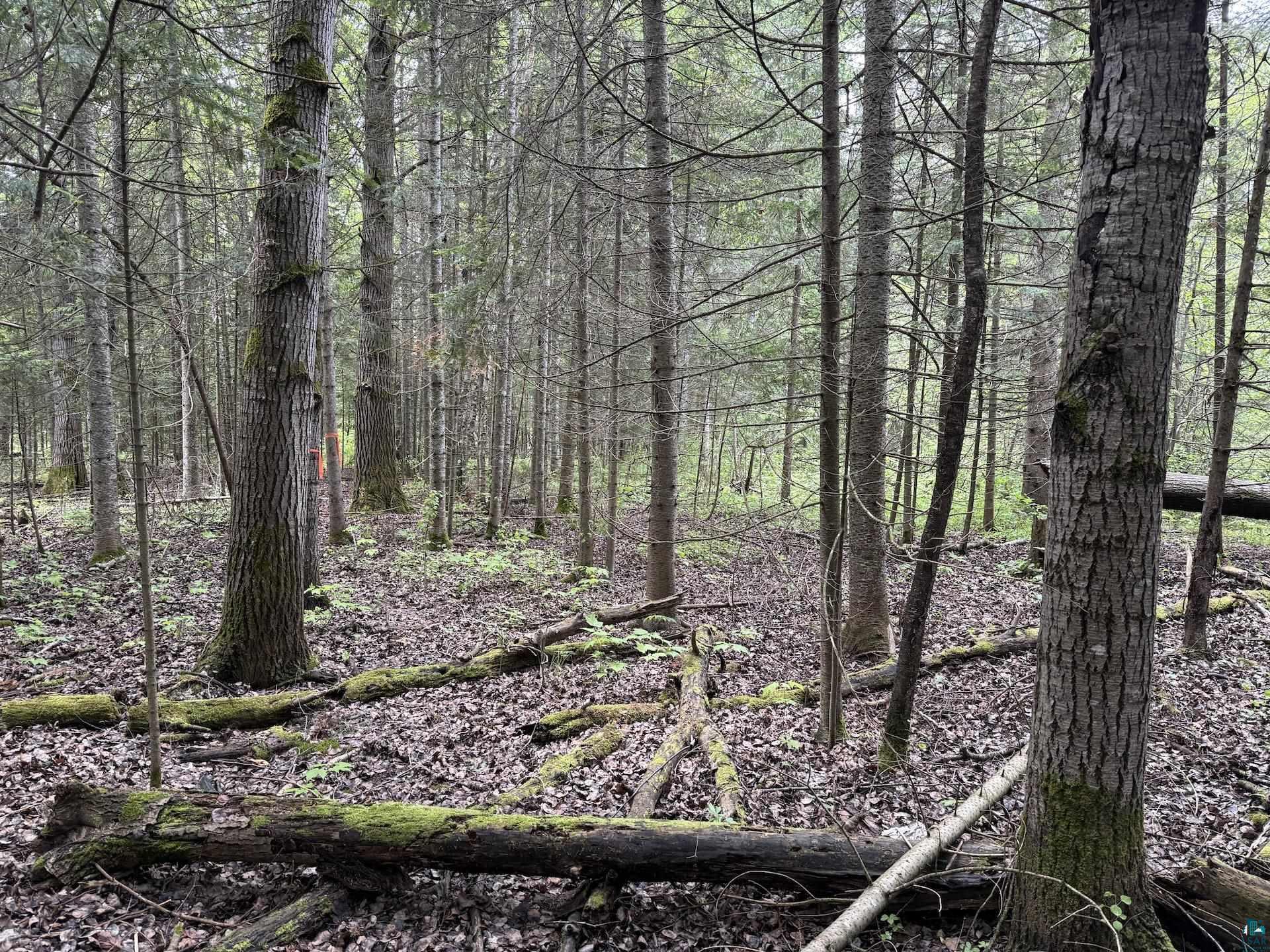 000 Jack Pine Rd Cornucopia WI 54827 6125986 image10
