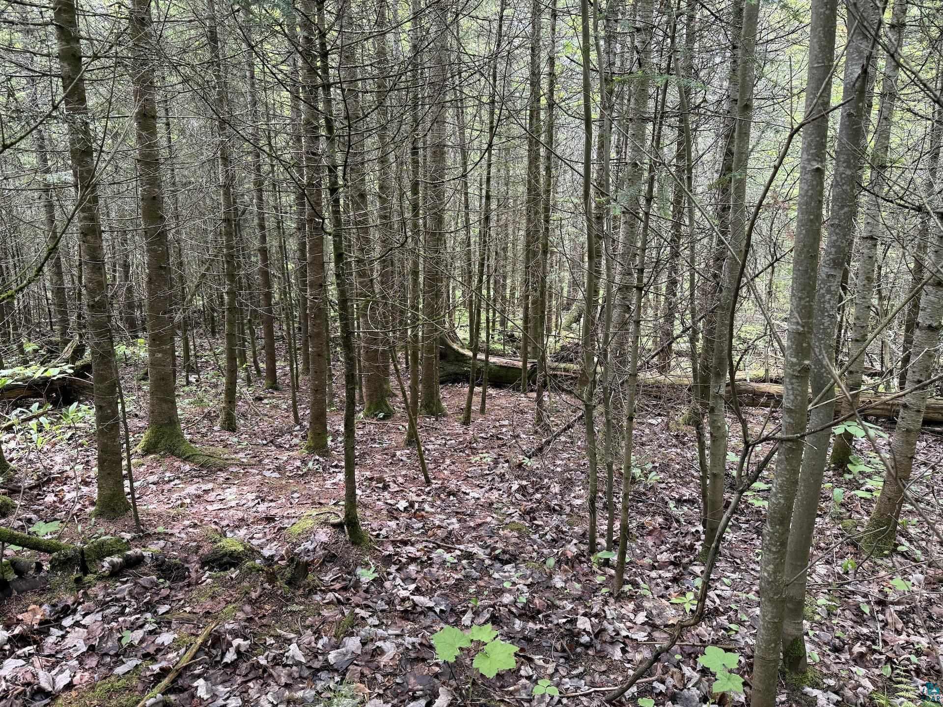 000 Jack Pine Rd Cornucopia WI 54827 6125986 image15