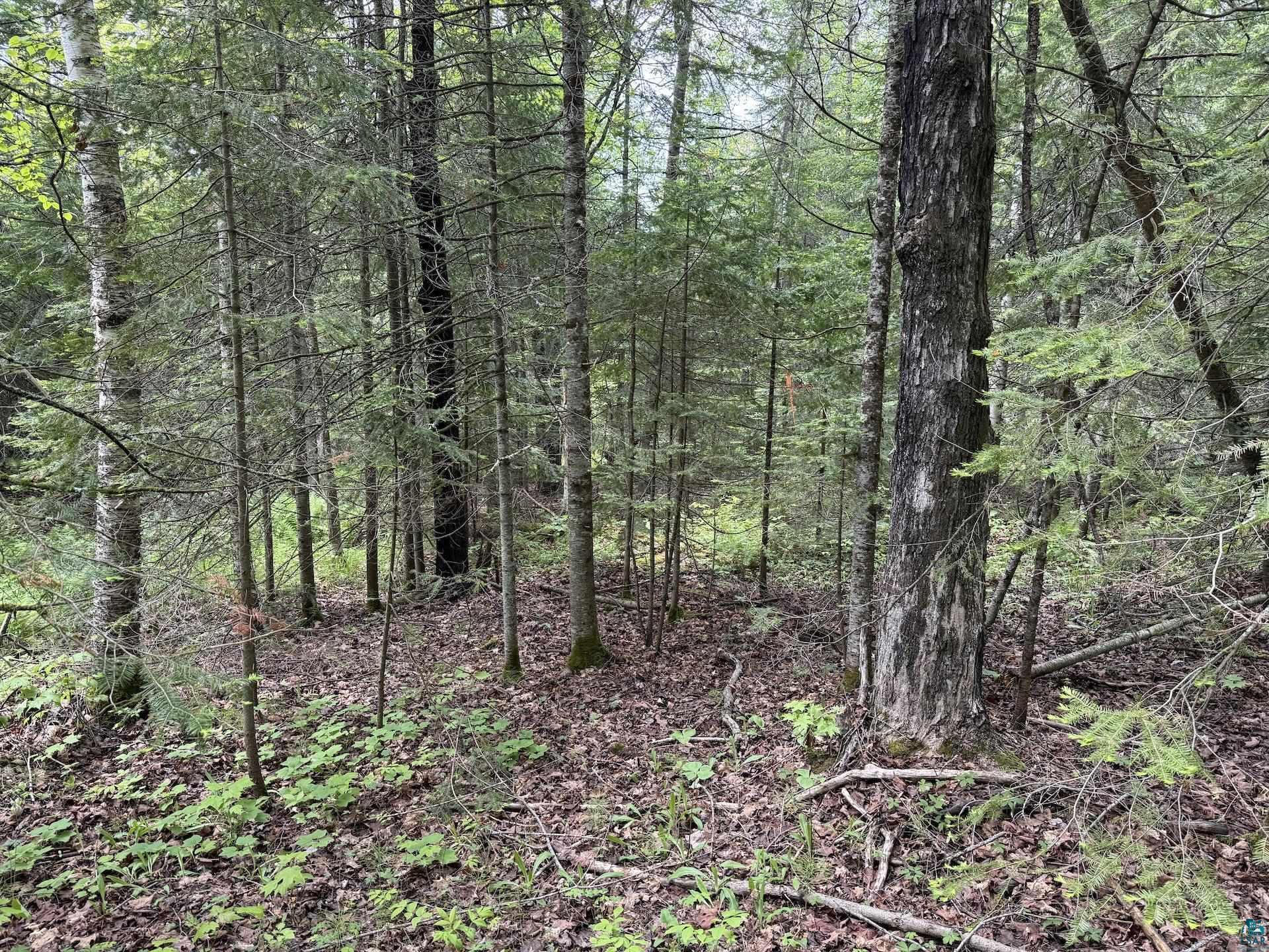 000 Jack Pine Rd Cornucopia WI 54827 6125986 image9