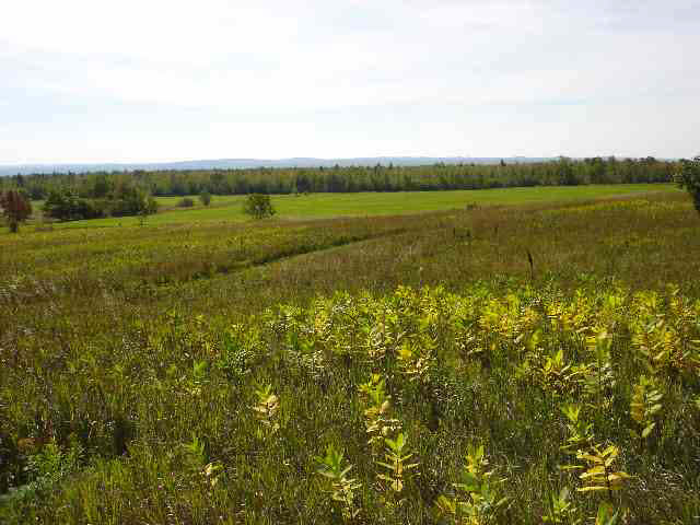 000 KELLY RD Ashland WI 54806 6063706 image2