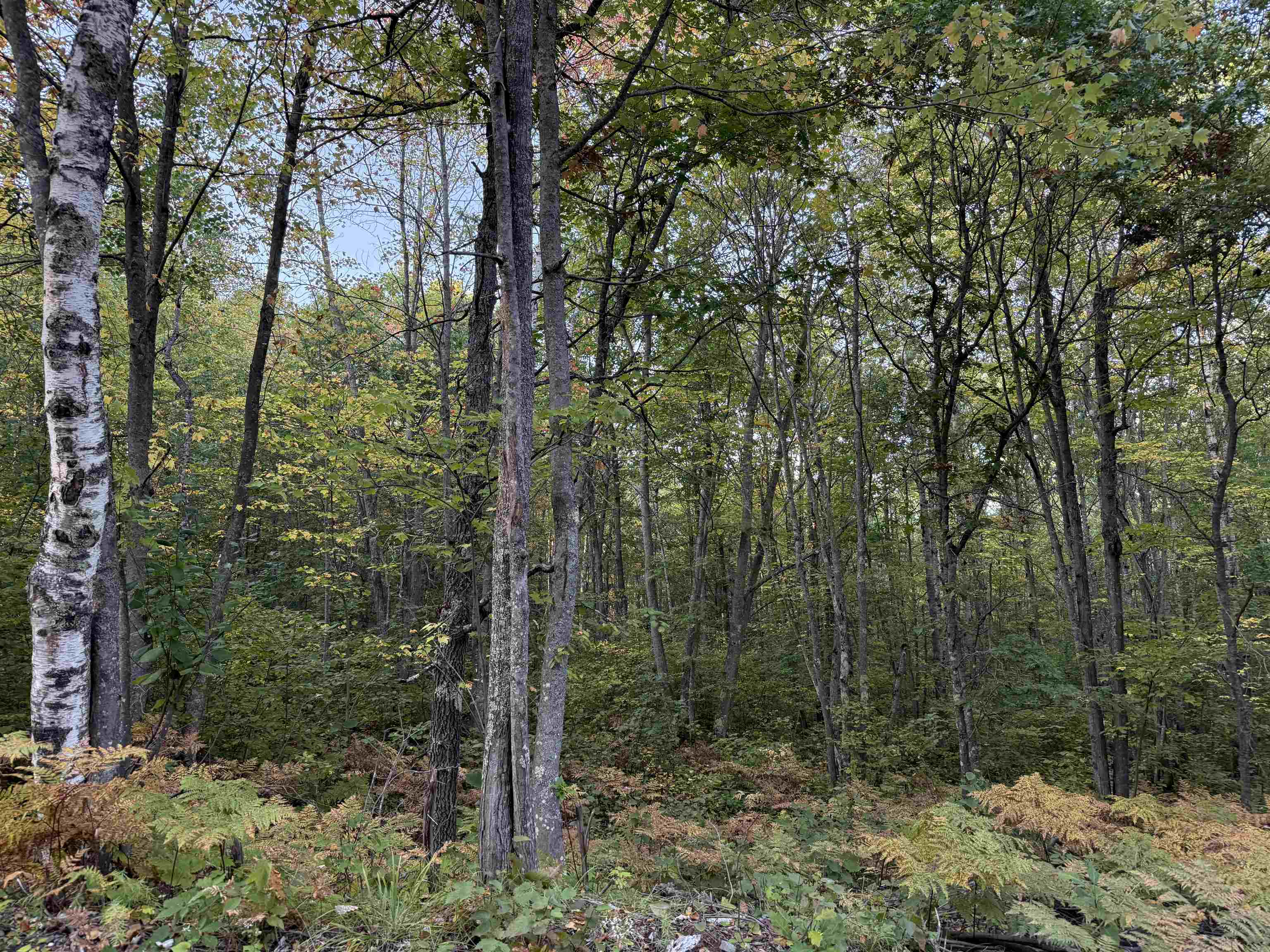 000 Old Hwy 2 Iron River WI 54847 6122057 image1