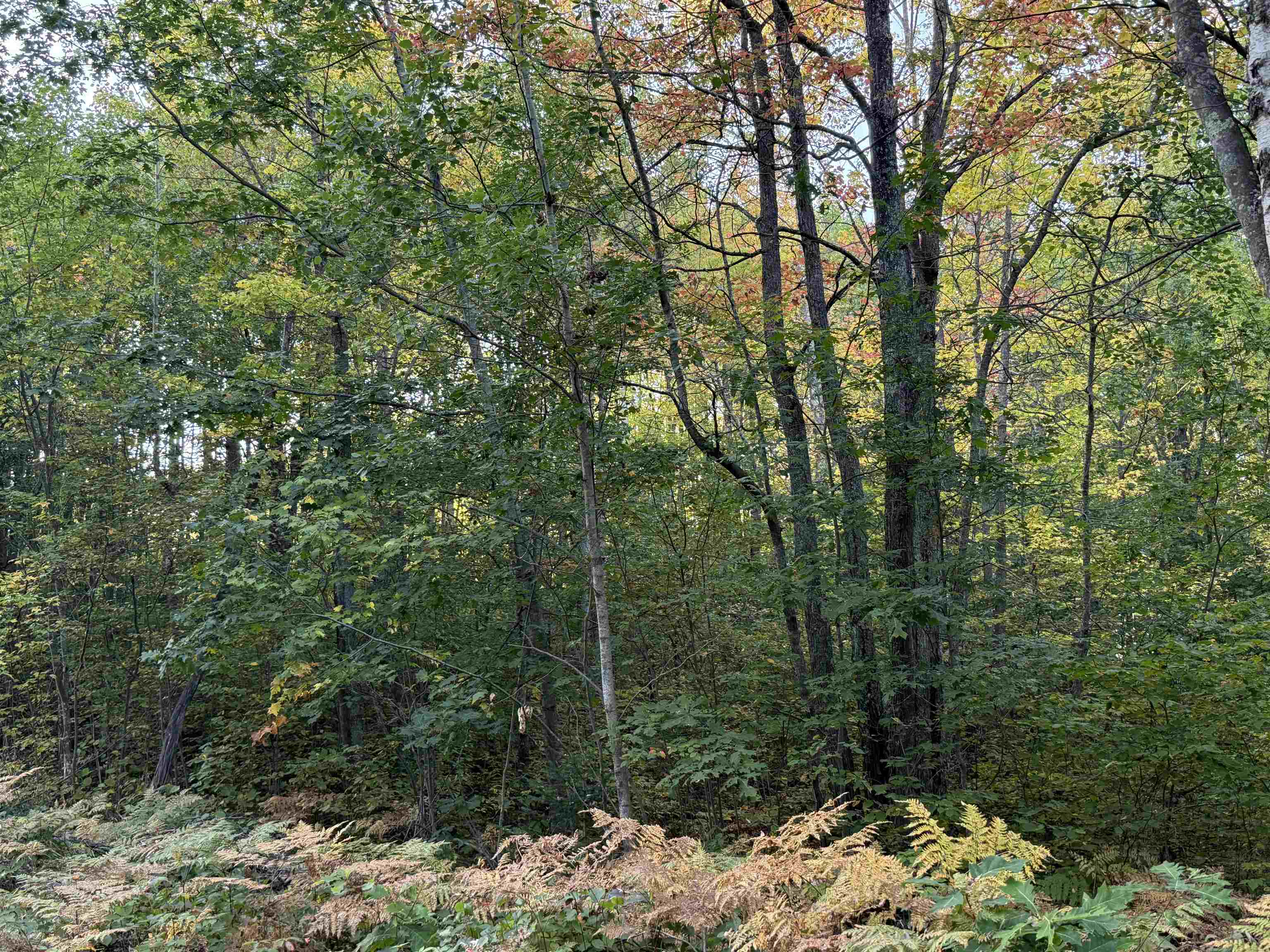 000 Old Hwy 2 Iron River WI 54847 6122057 image2