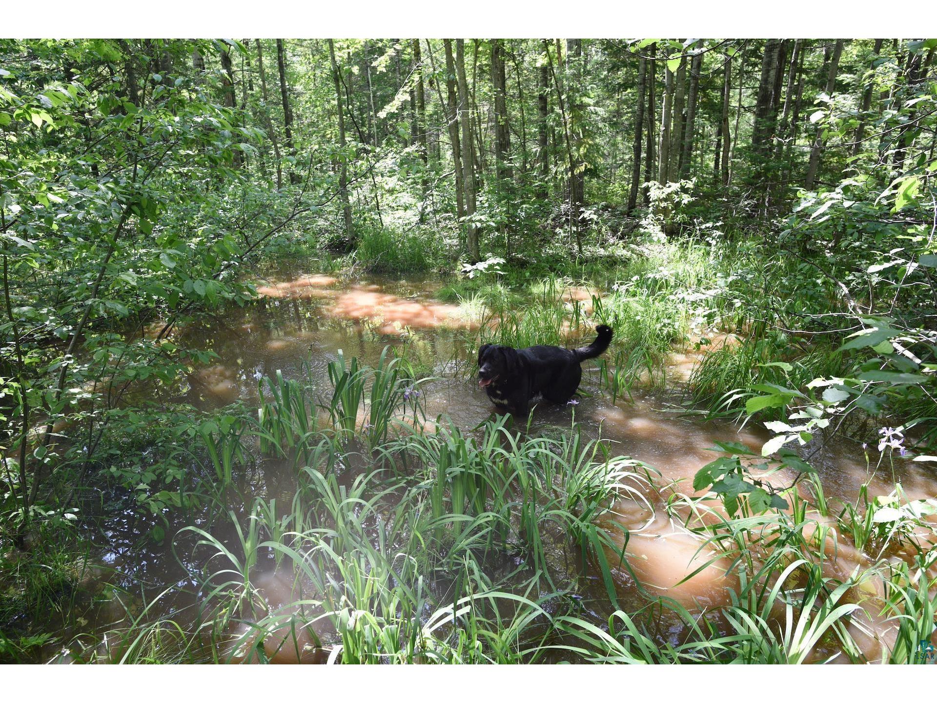 000 Pine Flats Rd, Odanah, WI, 54861 MLS 6109101 Edina Realty