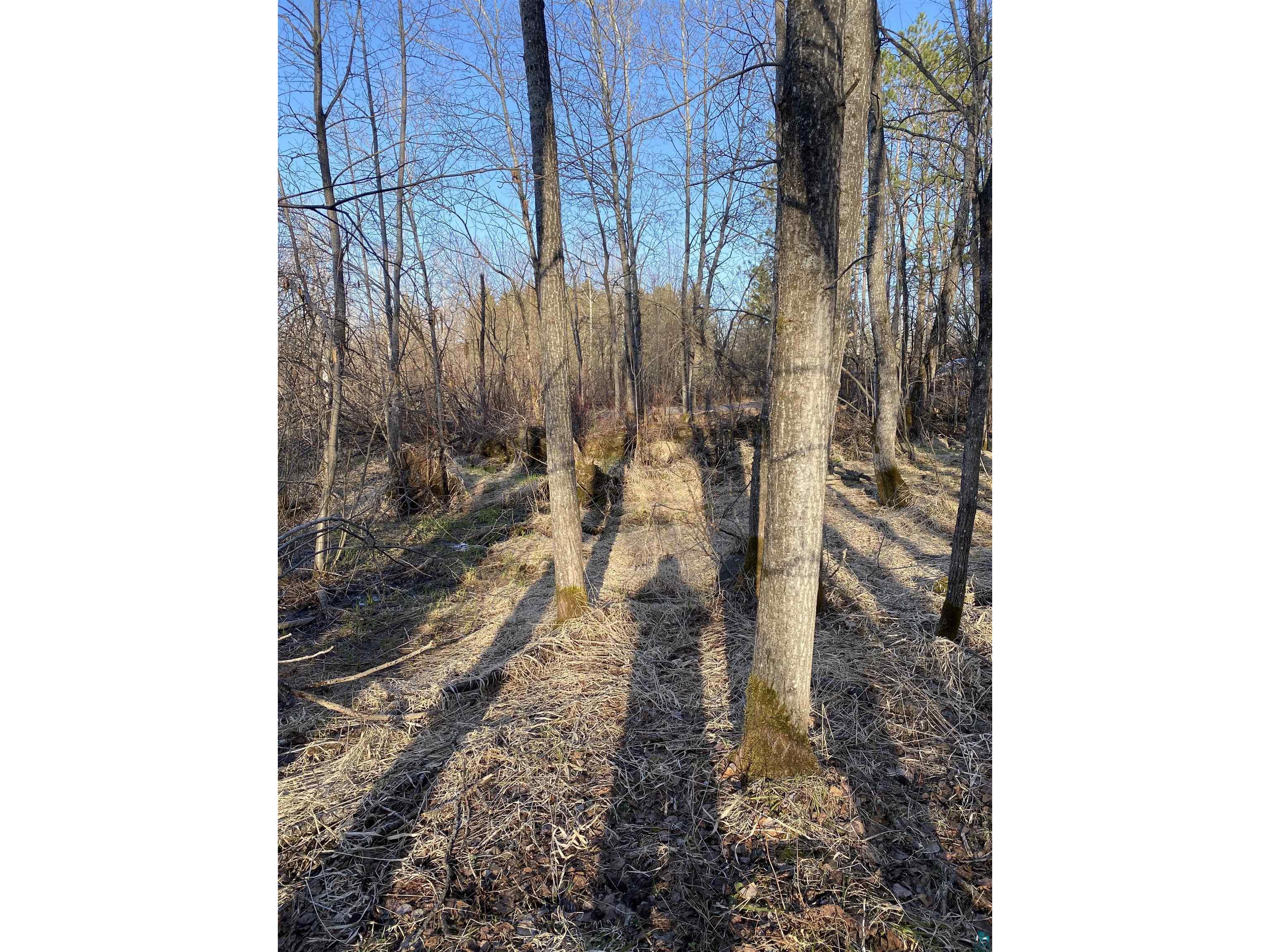 000 Raymond Ave Grand View WI 54839 6108103 image1