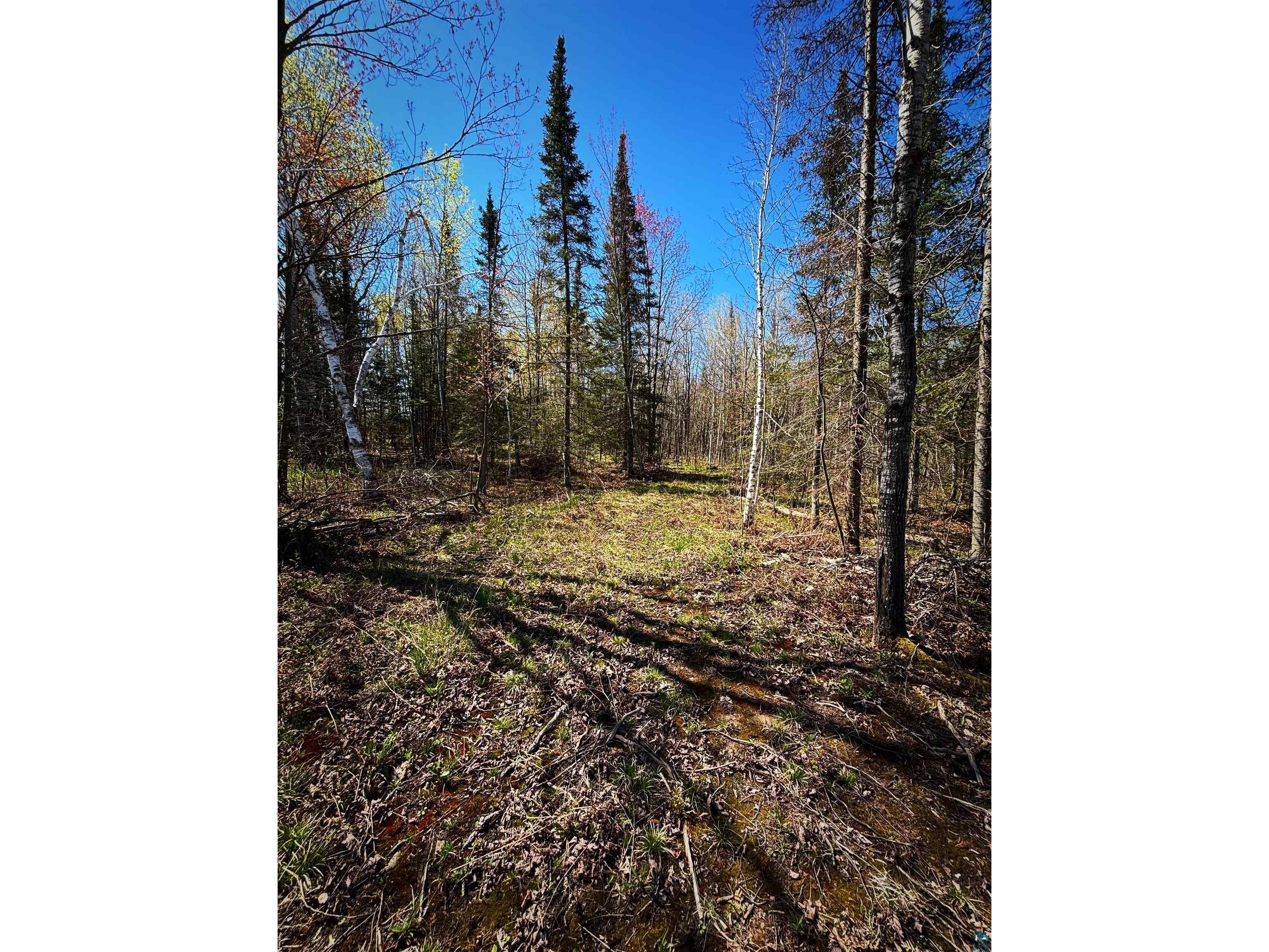 000 Redinger Rd Ashland WI 54806 6116384 image1